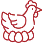 A hen hatching eggs icon