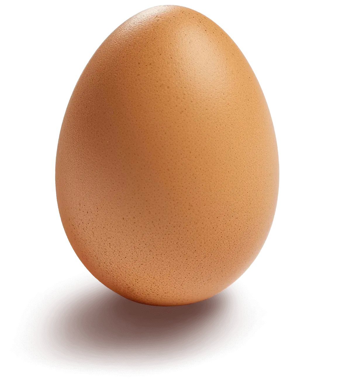 An egg